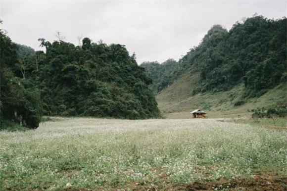 Hang Táu, người H'Mông, Mộc Châu