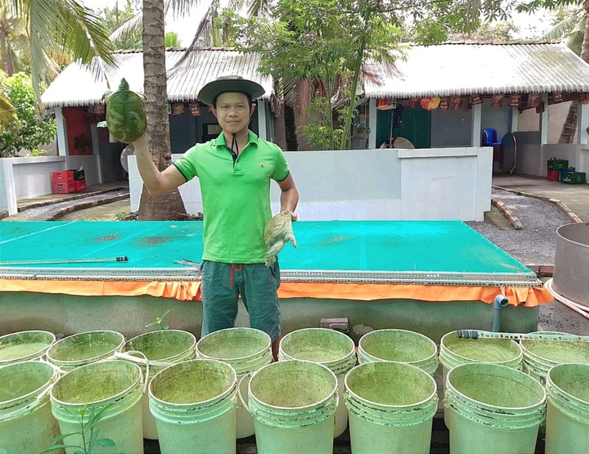 Trước đây, ông Sơn từng thử nghiệm nuôi ba ba trong xô, chậu nhựa. (Ảnh: Nhân vật cung cấp)