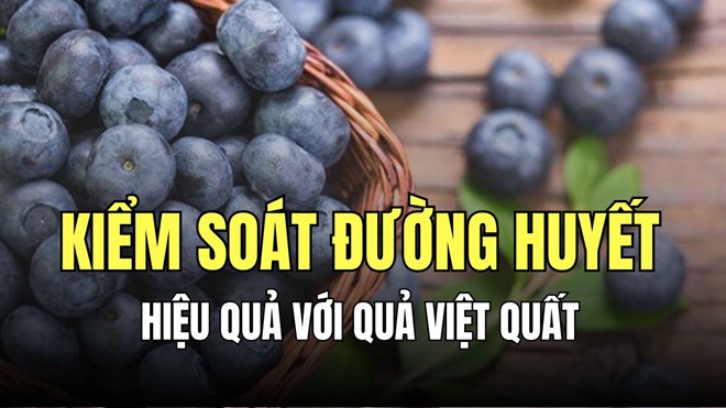 Kiểm soát đường huyết hiệu quả với loại quả việt quất