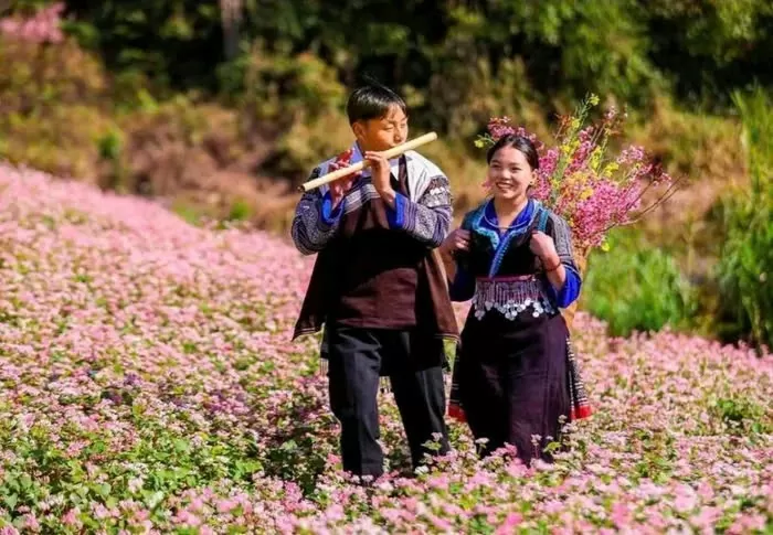 Yên Bái sắp diễn ra Festival khèn Mông, Lễ hội hoa Tớ dày Yên Bái sắp diễn ra Festival khèn Mông, Lễ hội hoa Tớ dày