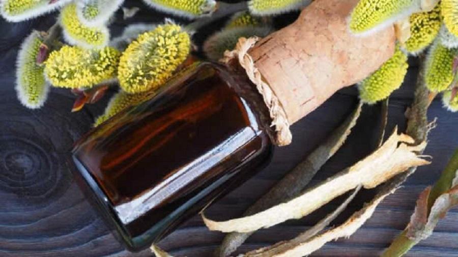 Lợi ích của chiết xuất vỏ cây liễu với làn da. Ảnh: Theo Healthshots