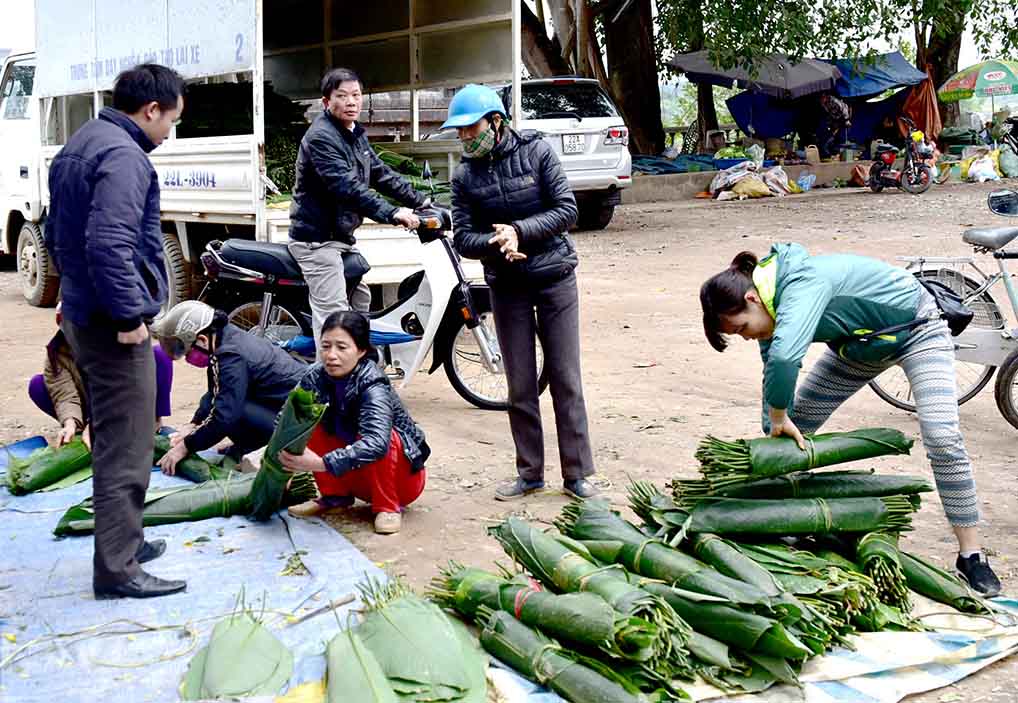 Thương lái từ nhiều nơi tìm về Tuyên Quang thu mua lá dong rừng cho vụ Tết. Ảnh: Quang Hòa.