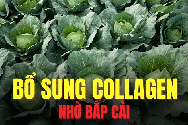 Kích thích sản sinh collagen nhờ loại rau giàu dinh dưỡng