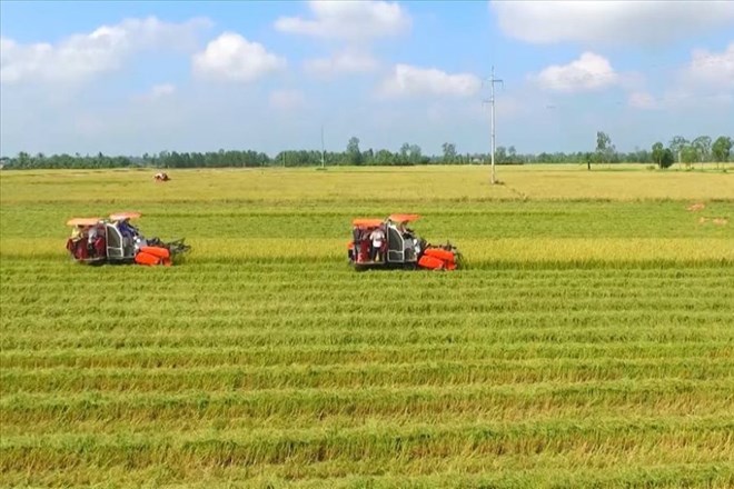 Giá đền bù khi thu hồi đất nông nghiệp làm khu dân cư 2025