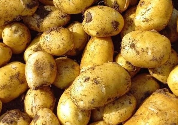 Lý do nên uống nước ép khoai tây vào buổi sáng