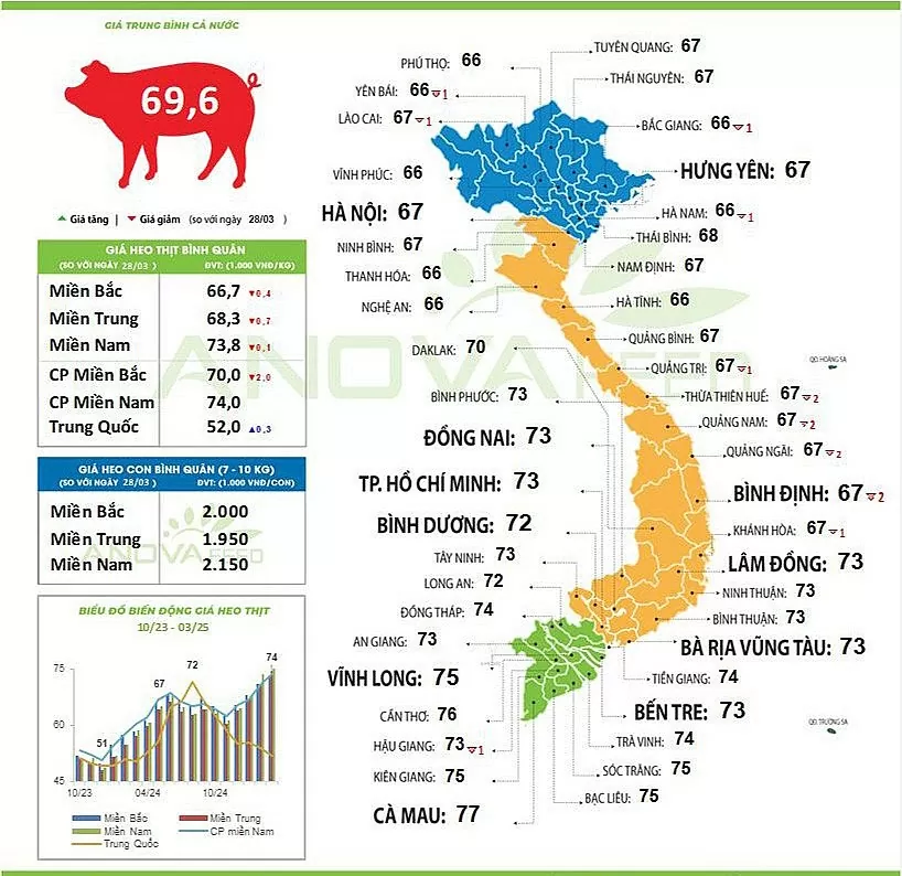 Giá heo hơi hôm nay 29/3/2025 tại các địa phương trên cả nước