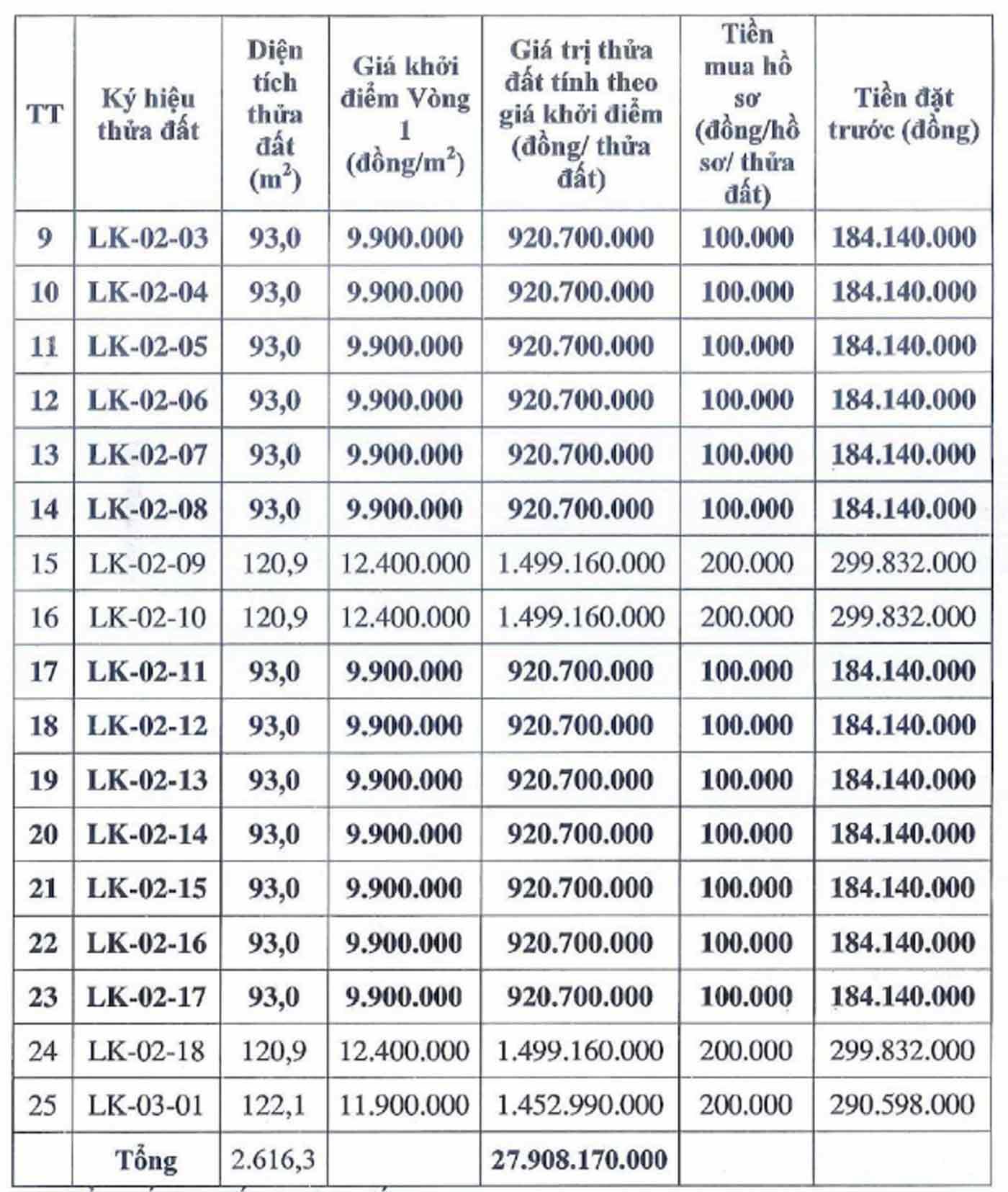 Thông tin các thửa đất trong phiên đấu giá ngày 11.4. Ảnh chụp màn hình