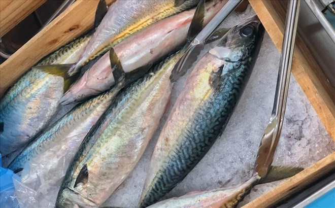 5 loại cá béo nên ăn thường xuyên giúp mắt sáng khỏe