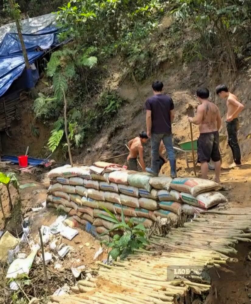 Các đối tượng chở đất đá mới được khai thác ở hầm vàng. Ảnh: Hưng Thơ
