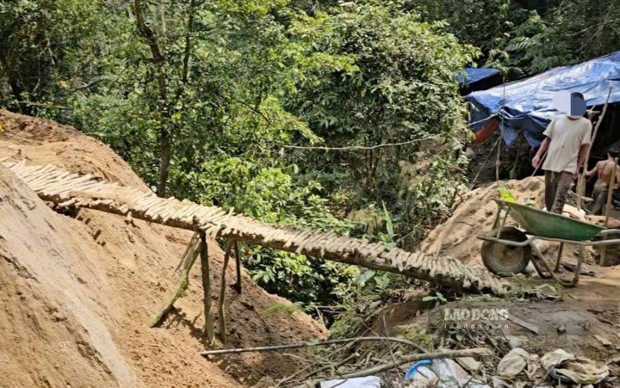 Các đối tượng đào xới đất, chặt cây làm cầu trong quá trình khai thác vàng trái phép. Ảnh: PV