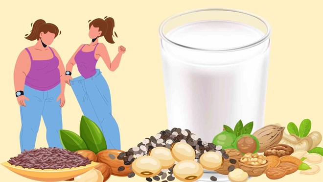 5 loại sữa hạt giúp giảm cân hiệu quả và duy trì vóc dáng thon gọn