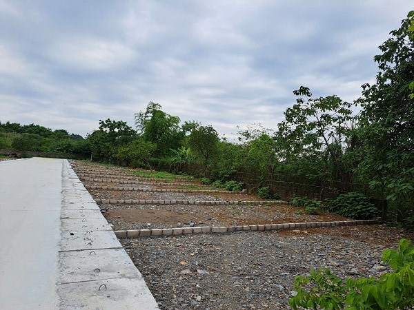 Xuất hiện xu hướng đầu tư theo nhóm, đẩy giá đất nền tăng ảo