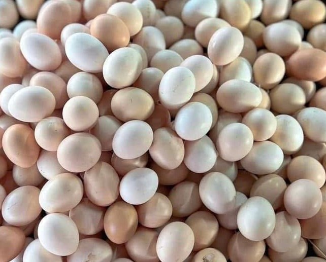 Bữa sáng nên ăn mấy quả trứng luộc để ổn định đường huyết