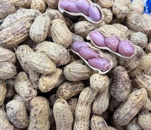 Lý do người axit uric cao và người bị gút cần lưu ý khi ăn lạc