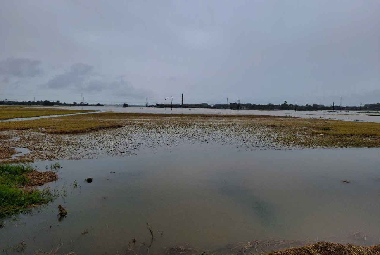 Cánh đồng ở xã Nam Điền mênh mông nước trong đợt mưa lũ ngày 24 - 25.5. Ảnh: Trần Tuấn.