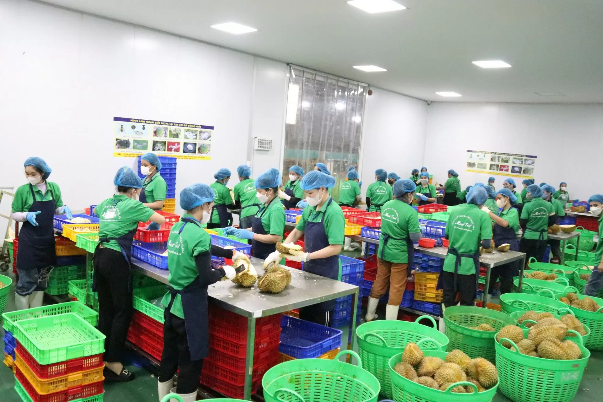 Doanh nghiệp ghi nhận các chính sách hỗ trợ tận dụng FTA Doanh nghiệp ghi nhận các chính sách hỗ trợ tận dụng FTA