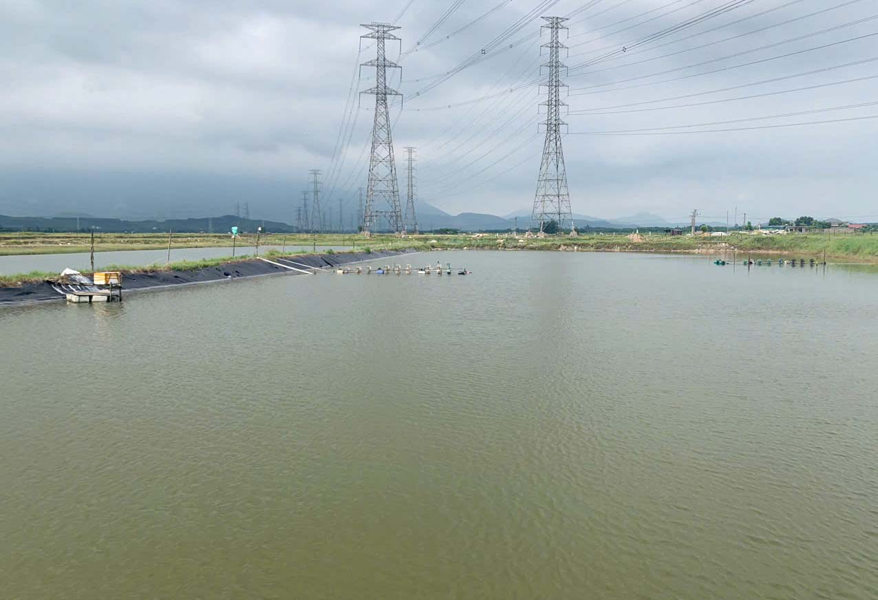 Dự án dang dở nên người dân tận dụng đất nuôi trồng thủy sản. Ảnh: Trần Tuấn.