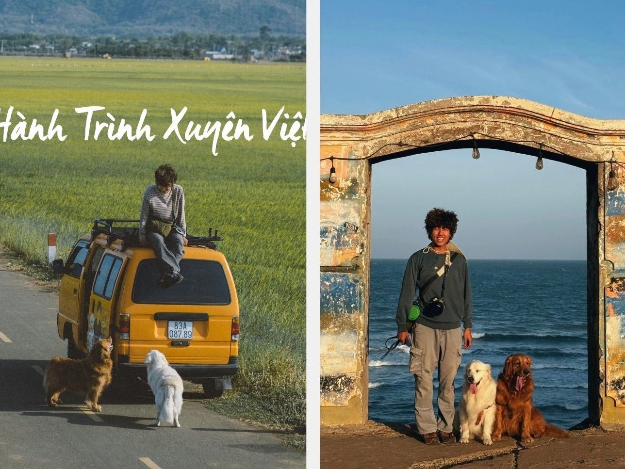 Lưu lại TP HCM không quá lâu, Bình và các bạn đi tiếp đến phố biển Vũng Tàu. Bông Bụp là hai chú chó rất thích đi biển và tắm táp nghịch ngợm nên Bình thường ở lại những vùng biển lâu hơn. Không chỉ đi biển, Bình Bông Bụp còn check-in các điểm đến nổi tiếng khác của Vũng Tàu như cánh đồng lúa An Nhứt đang vào mùa lúa chín.