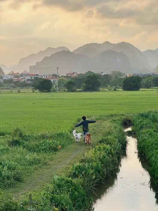 “Tụi mình đi Xuyên Việt có mệt không ? Chắc chắn có nhưng đổi lại tụi mình biết được rất nhiều món ăn, khám phá nhiều cảnh đẹp, tiếp xúc nhiều người dễ thương chưa từng gặp. Đây là món quà, điều ước mà ít ai làm được cho bé cún của mình“, Bình chia sẻ.