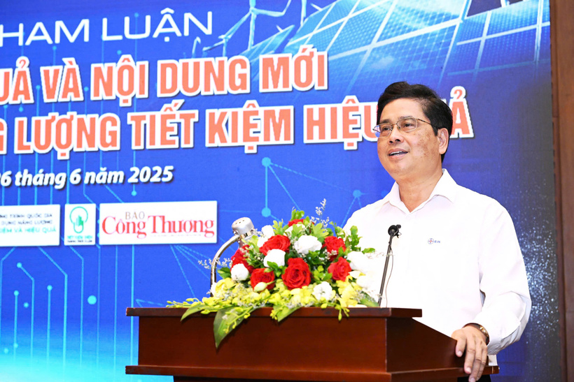 Ông Võ Quang Lâm, Phó Tổng giám đốc Tập đoàn Điện lực Việt Nam (EVN) phát biểu tại Diễn đàn. Ảnh: Cấn Dũng