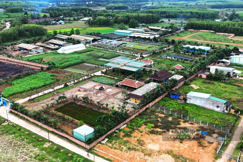 Toàn cảnh khu đất dự án Sản xuất rau an toàn theo tiêu chuẩn VietGap tại xã Canh Vinh. Ảnh: Tuệ Lâm
