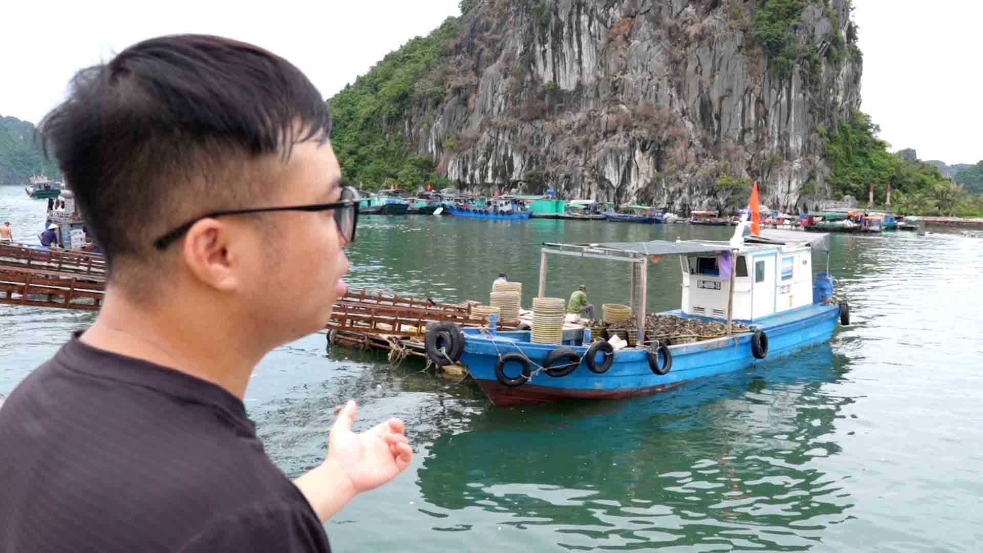 Ngư dân Quảng Ninh khốn khổ vì hàu sữa bán ra bị thương lái ép giá. Ảnh: PV