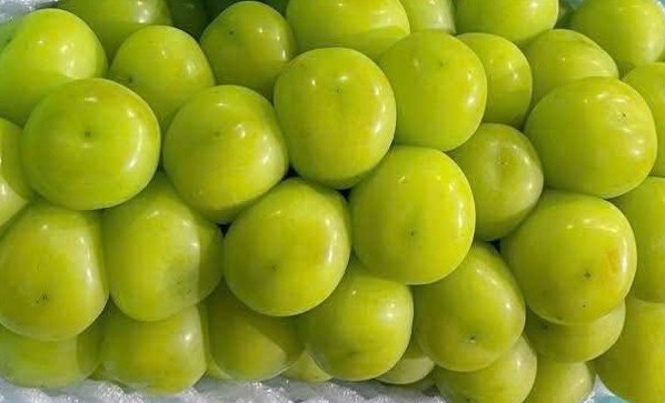 Người huyết áp cao lưu ý gì khi ăn nho sữa