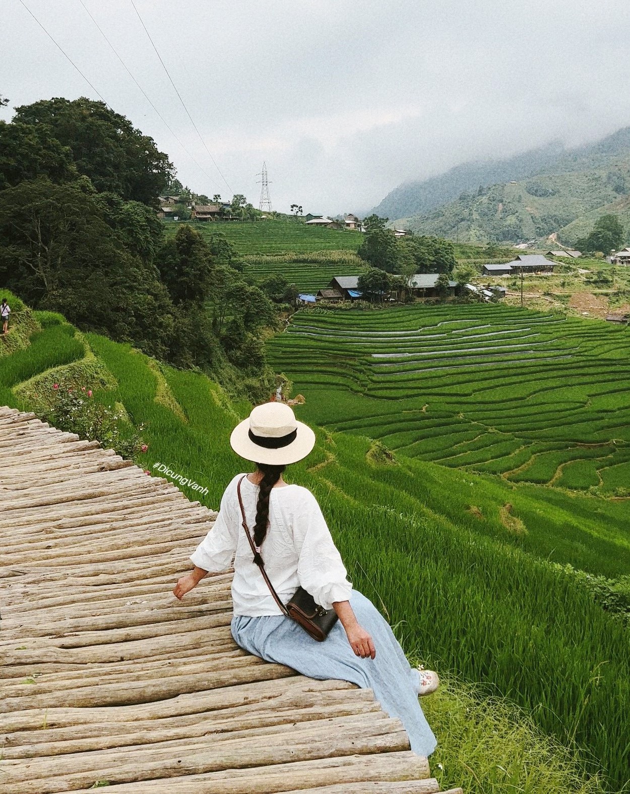 Cách trung tâm Sa Pa khoảng 12 km, Tả Van được bao quanh là những thửa ruộng bậc thang, hiện mới chớm bông. Đến Tả Van, không chỉ ngắm lúa, trekking, dạo chơi nhà dân và tìm hiểu nghề truyền thống, du khách có thể thỏa sức check-in các quán cà phê, quán ăn view lúa đẹp ngất ngây.