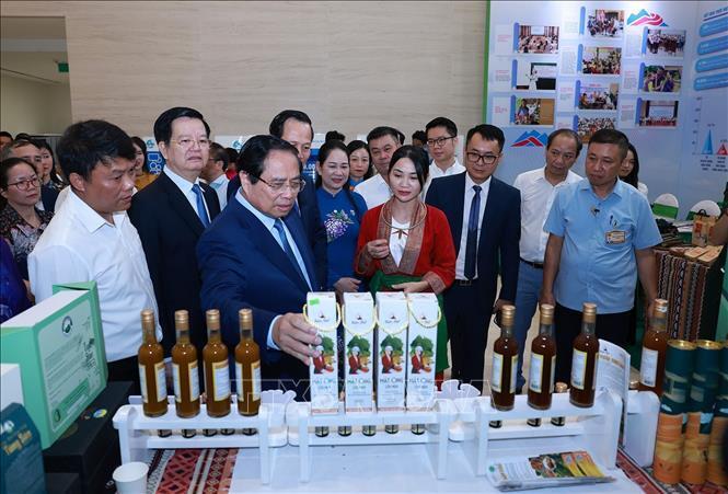 Thủ tướng dự Tổng kết Chương trình mục tiêu quốc gia phát triển kinh tế - xã hội - 4