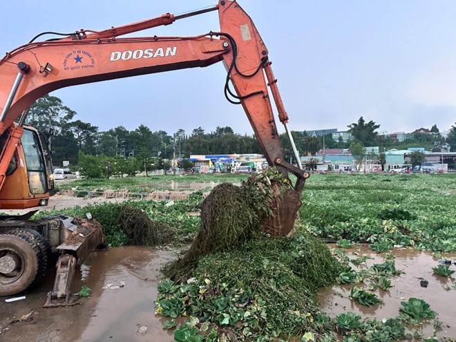Lượng lớn bèo, rác thải che phủ mặt hồ Xuân Hương