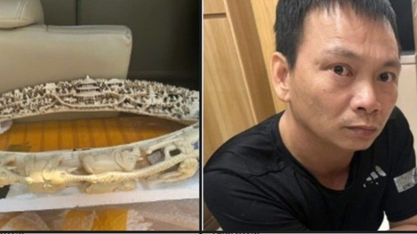 Công an phường bắt đối tượng mua bán ngà voi trái phép