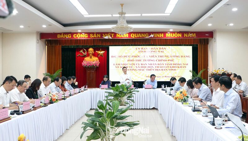 Đoàn công tác của Chính phủ do Phó Thủ tướng Hồ Đức Phớc làm trưởng đoàn đã có buổi làm việc với UBND tỉnh Đồng Nai - (Ảnh: Phạm Tùng - ĐNO)