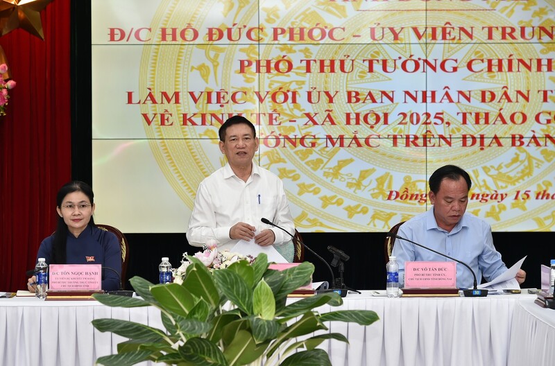 Phó Thủ tướng Hồ Đức Phớc phát biểu tại buổi làm việc - (Ảnh: VGP/Trần Mạnh)