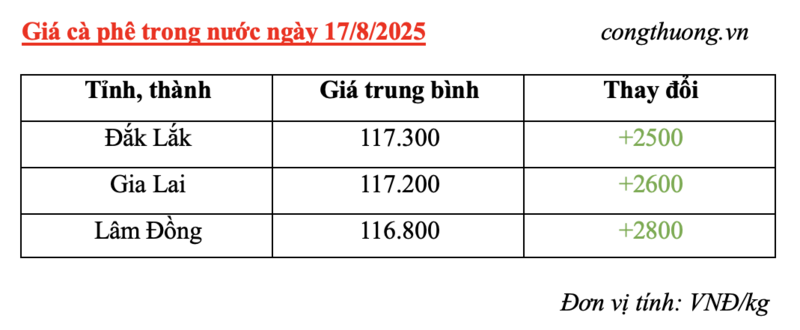 Bảng giá cà phê trong nước sáng ngày 17/8/2025