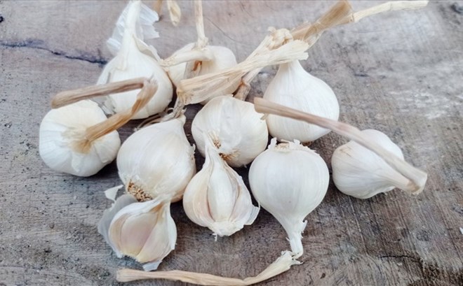 Những thay đổi của cơ thể khi ăn tỏi sống lúc bụng đói