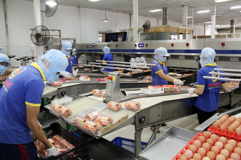 Thương mại Việt Nam - Vương quốc Anh tăng  tăng 9,6%, đạt tổng kim ngạch đạt hơn 4,3 tỷ USD trong 6 tháng đầu năm 2025. Ảnh: Huy Trung
