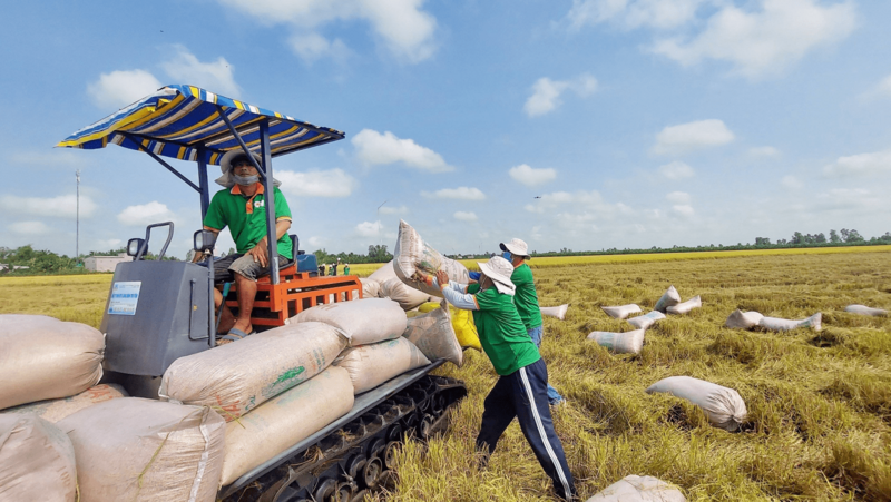 Doanh nghiệp xuất khẩu Việt Nam tranh thủ cơ hội đẩy mạnh xuất khẩu lương thực thực phẩm, hàng tiêu dùng và hàng vật liệu xây dựng... sang Israel. Ảnh: Việt Cường