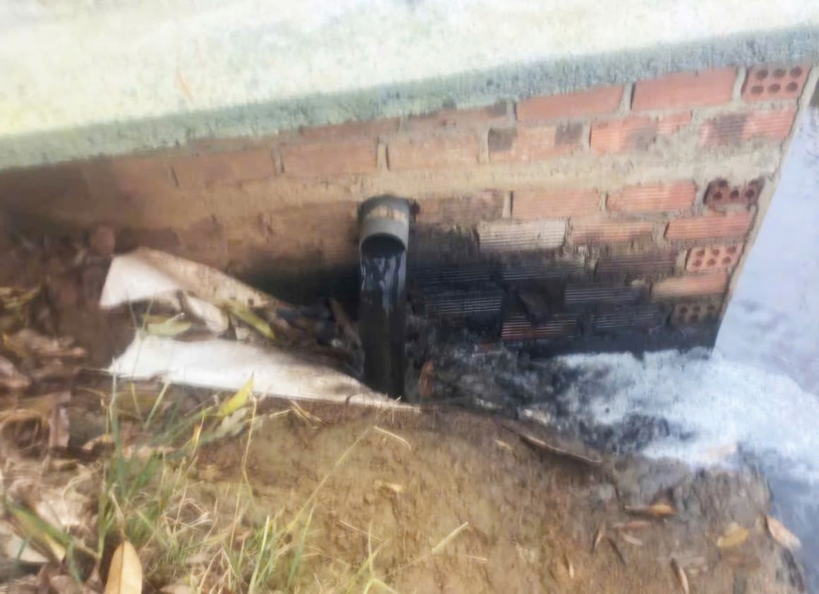 Nước từ trại heo thải ra đen ngòm. Ảnh: Lam Hồng