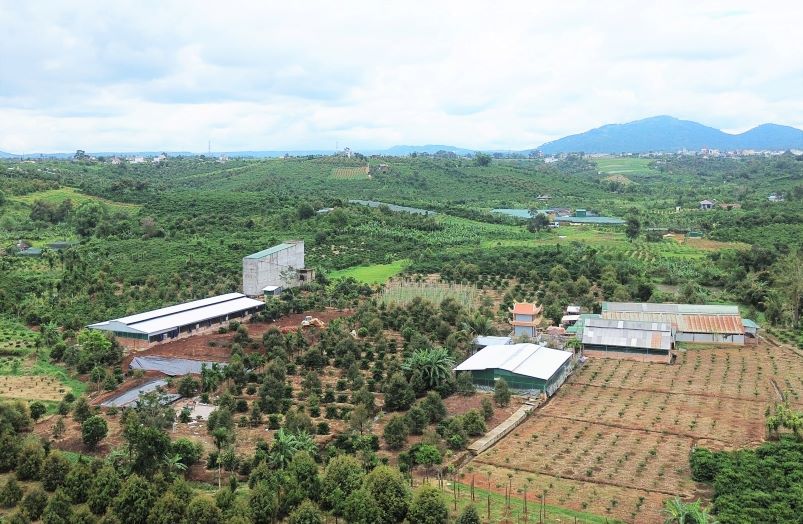 Trại heo của gia đình ông Phạm Văn Quyết. Ảnh: Lam Hồng