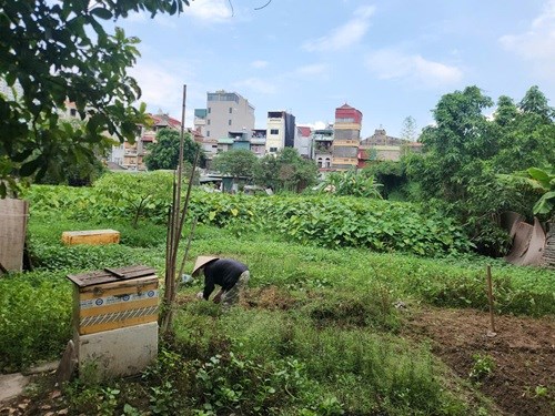 Vướng mặt bằng khiến dự án chậm tiến độ gần 10 năm