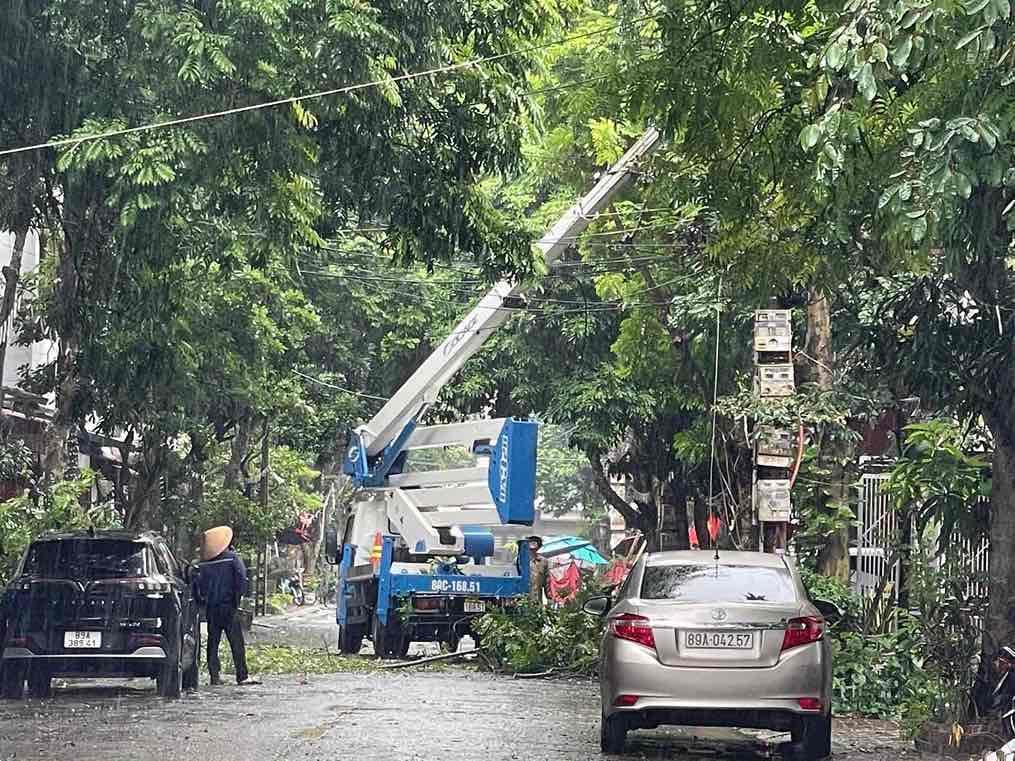 Công tác cắt tỉa cây được khẩn trương thực hiện. Ảnh: Mai Hương