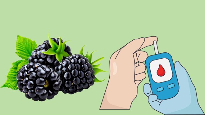 Bất ngờ công dụng kiểm soát đường huyết của quả mâm xôi đen