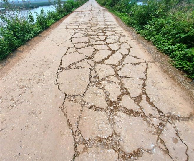 Nhiều tuyến đê ở Ninh Bình xuống cấp nghiêm trọng