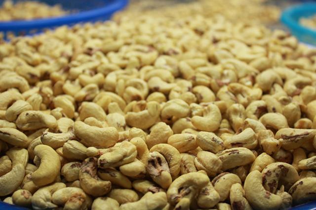 Xuất khẩu hạt điều tiếp tục tăng trưởng, khẳng định xu hướng phục hồi vững chắc của ngành điều Việt Nam