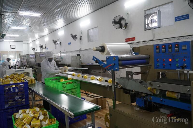 Công ty STCO đặt mục tiêu tăng trưởng năm 2026 tới trên 30% so với năm 2025