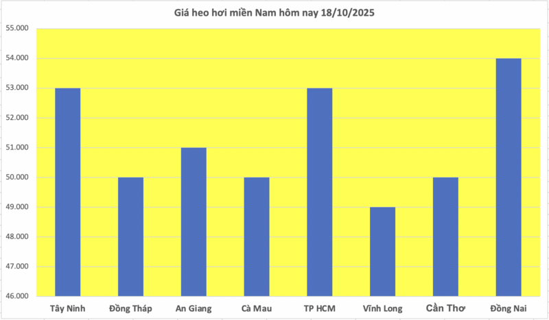 Giá heo hơi hôm nay 18/10/2025: Biến động trái chiều - 3
