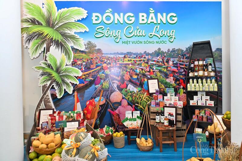 Tuần lễ Nông sản Việt 2025 là dịp để các địa phương giới thiệu, quảng bá những sản phẩm nông sản đặc trưng, góp phần kết nối cung cầu, thúc đẩy tiêu thụ hàng Việt và khẳng định thương hiệu nông sản Việt trên thị trường.