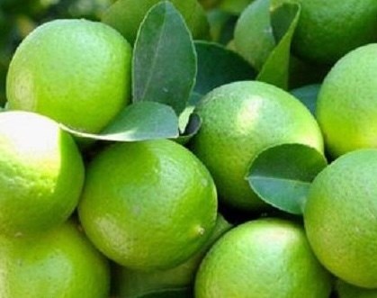Cách đào thải axit uric vào mùa lạnh