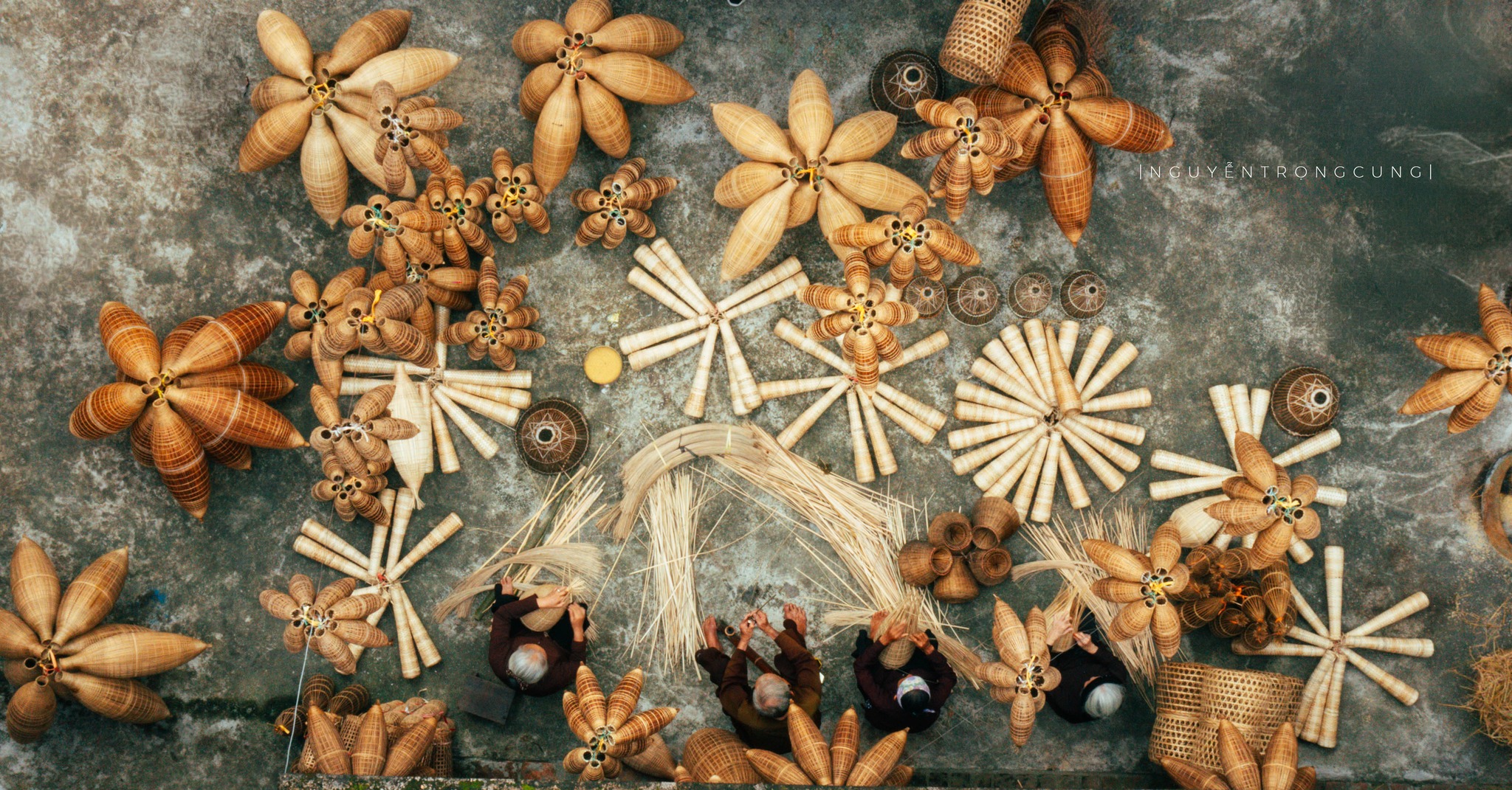 Ảnh: Nguyễn Trọng Cung