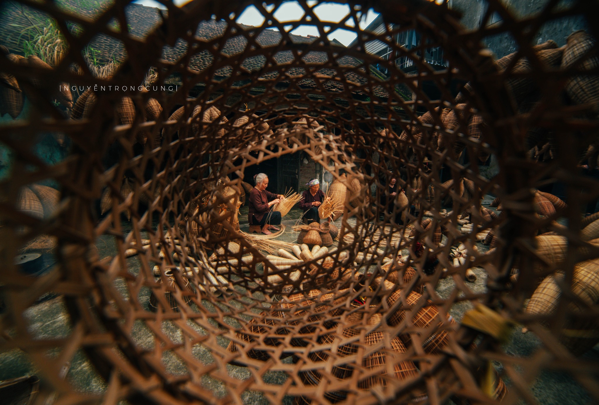 Ảnh: Nguyễn Trọng Cung